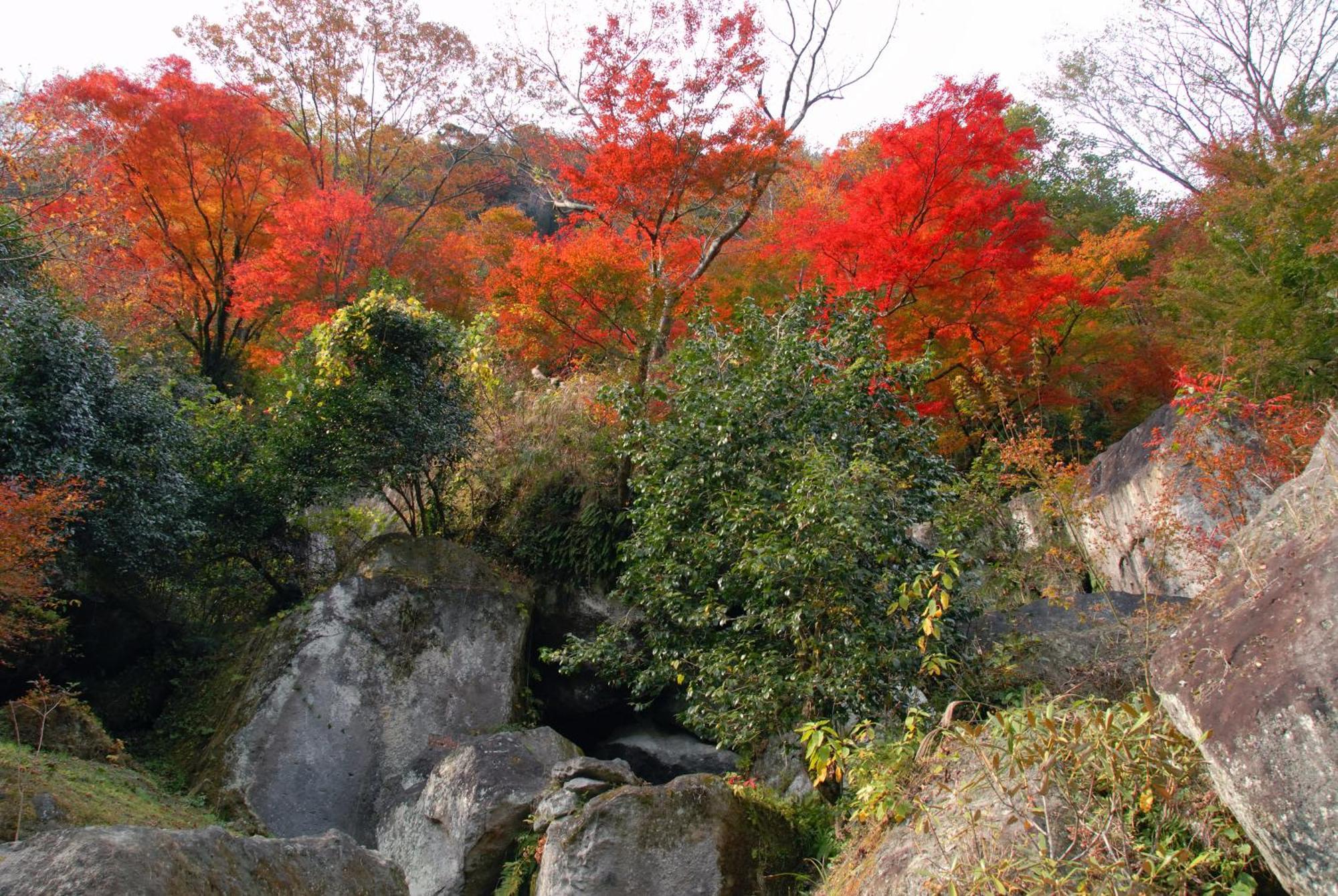 Auberge Funoki Nakatsu Экстерьер фото
