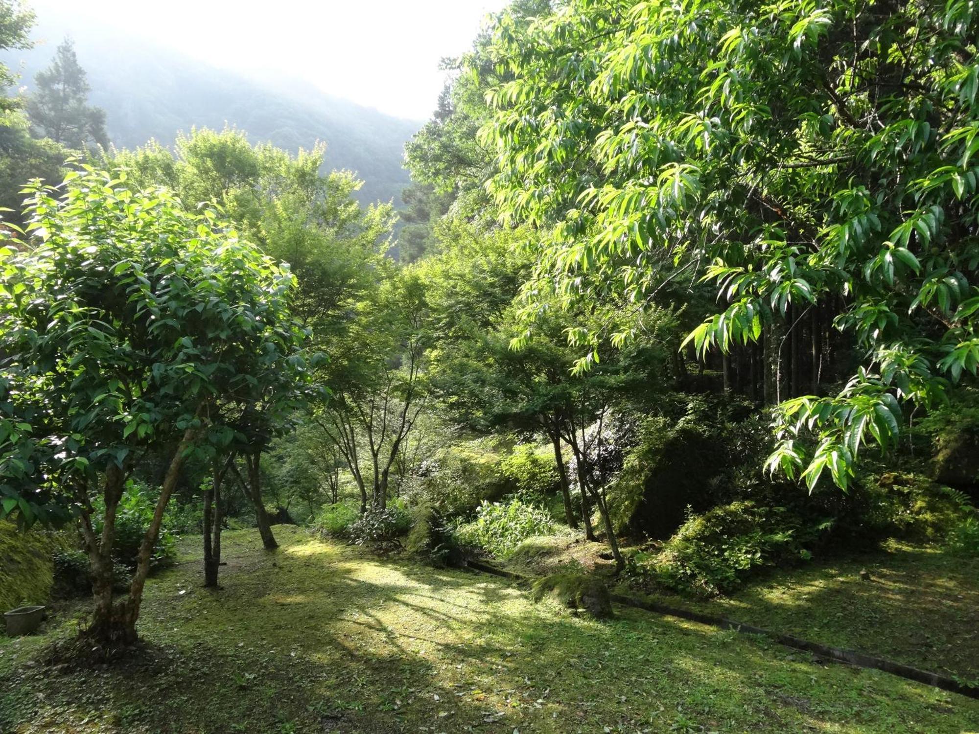 Auberge Funoki Nakatsu Экстерьер фото